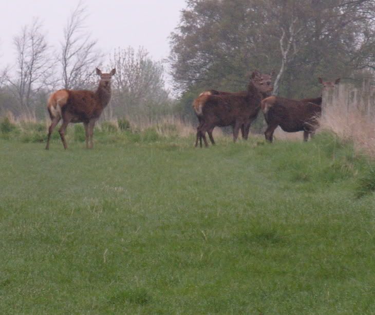 S1050168.jpg