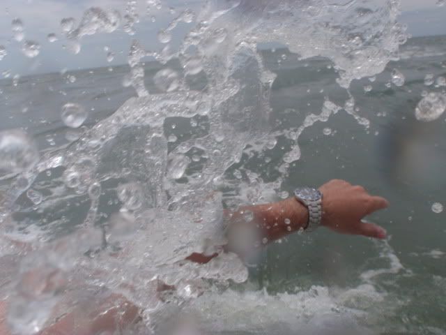 P6100057.jpg
