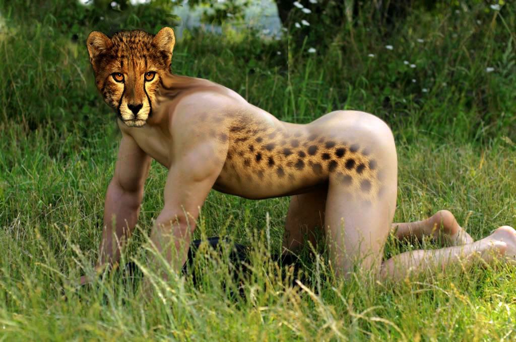 cheetah man