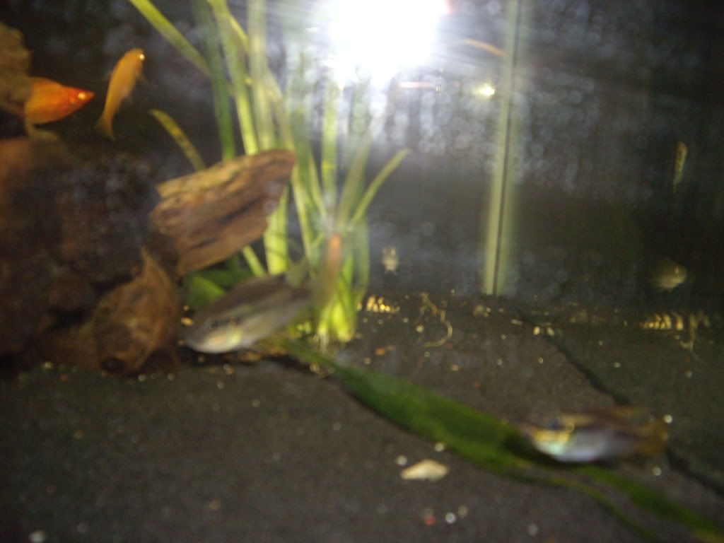 Picture070.jpg