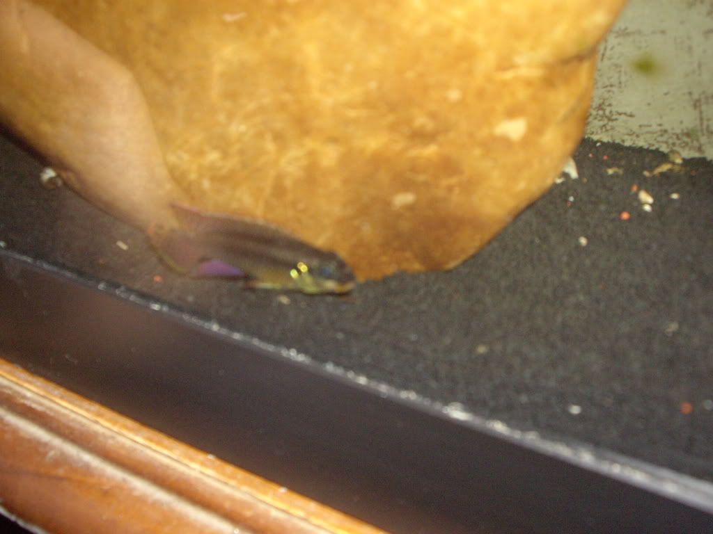 Picture077.jpg