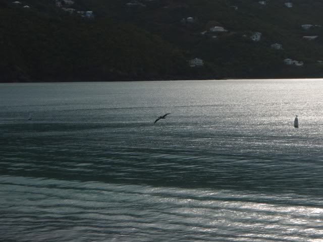 277_Charlotte_Amalie_St_Thomas.jpg