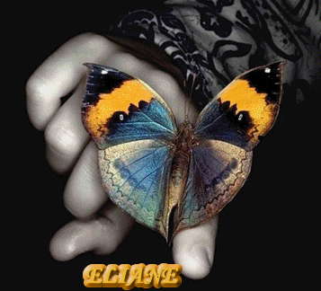 butterflycolor.png picture by ELIANE_079