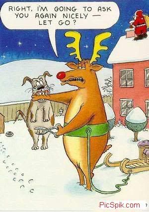 Christmas Funny Orkut Graphics @ twitkut.com