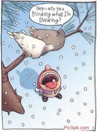 Christmas Funny Orkut Graphics @ twitkut.com