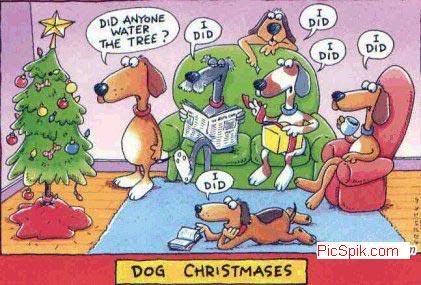 Christmas Funny Orkut Graphics @ twitkut.com
