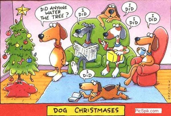 Christmas Funny Orkut Graphics @ twitkut.com
