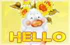 Hello & Hii