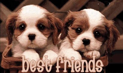 Best Friends Graphics @ twitkut.com