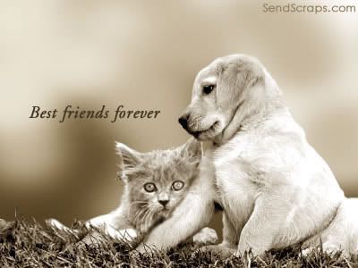Best Friends Graphics @ twitkut.com