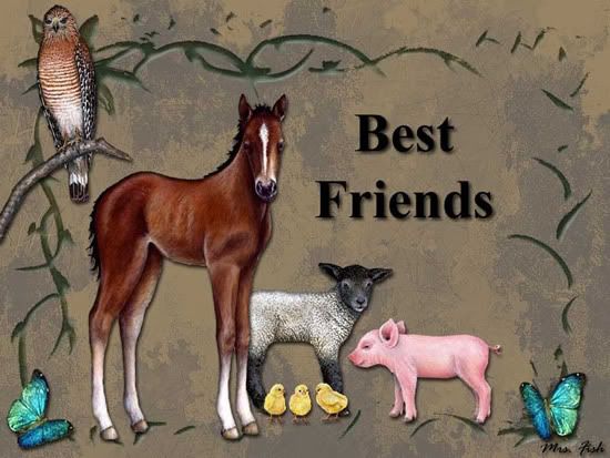 Best Friends Graphics @ twitkut.com