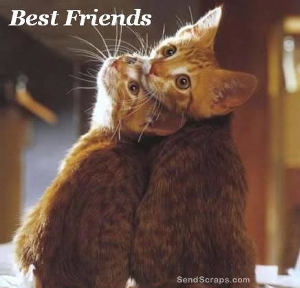 Best Friends Graphics @ twitkut.com