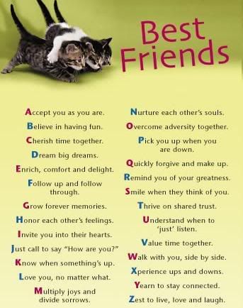 Best Friends Graphics @ twitkut.com