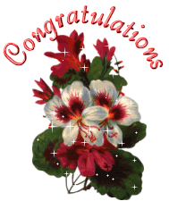 Congratulations Graphics @ twitkut.com