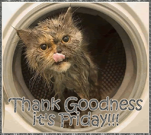 Friday Graphics @ twitkut.com