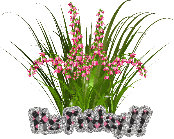 Friday Graphics @ twitkut.com