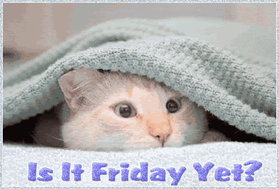 Friday Graphics @ twitkut.com