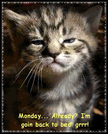 Monday Graphics @ twitkut.com