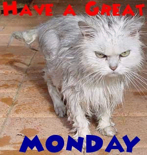Monday Graphics @ twitkut.com