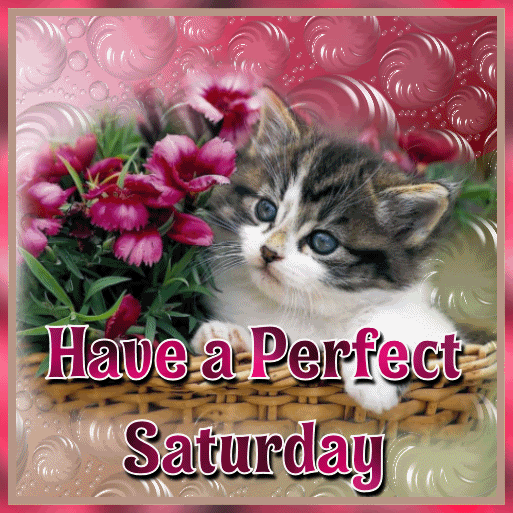 Saturday Graphics @ twitkut.com
