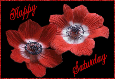Saturday Graphics @ twitkut.com