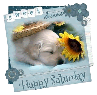 Saturday Graphics @ twitkut.com