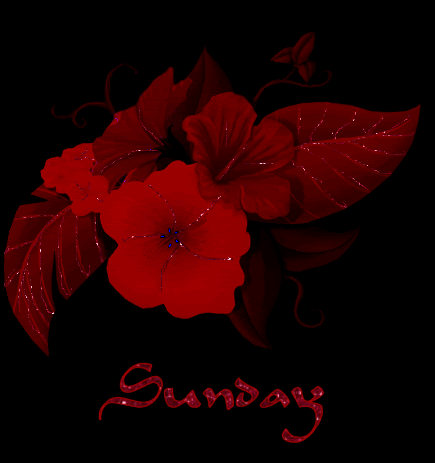 Sunday Graphics @ twitkut.com