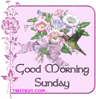 Sunday Graphics @ twitkut.com