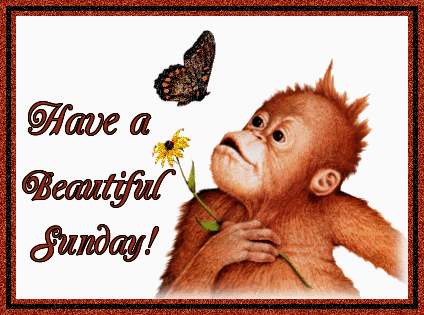 Sunday Graphics @ twitkut.com