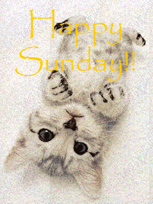 Sunday Graphics @ twitkut.com
