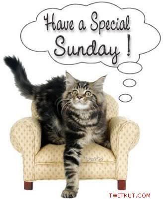 Sunday Graphics @ twitkut.com