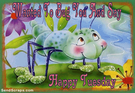 Tuesday Graphics @ twitkut.com