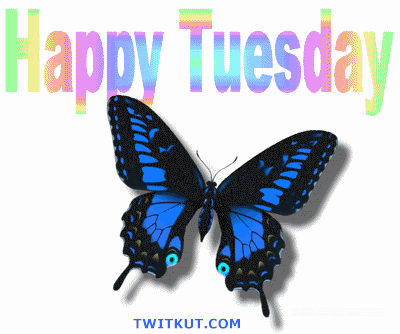 Tuesday Graphics @ twitkut.com