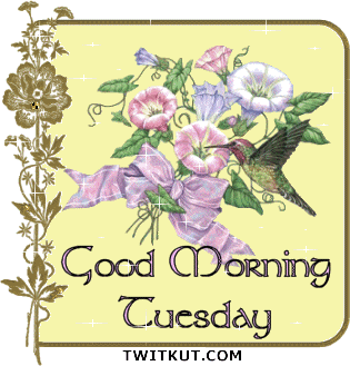 Tuesday Graphics @ twitkut.com