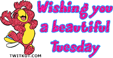 Tuesday Graphics @ twitkut.com