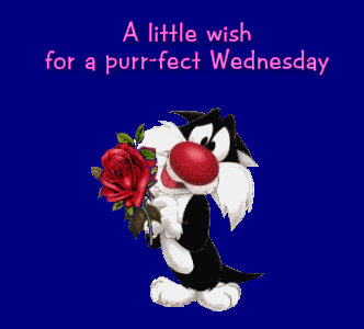 Wednesday Graphics @ twitkut.com