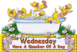 Wednesday Graphics @ twitkut.com