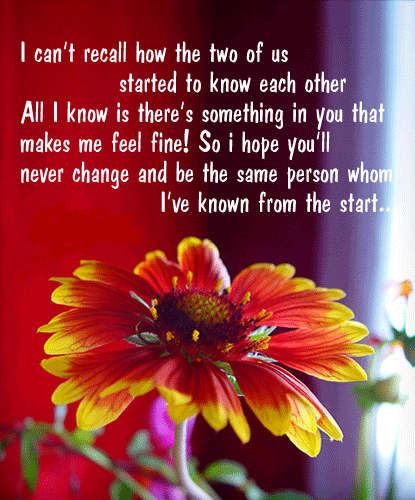 Friendship Graphics @ twitkut.com