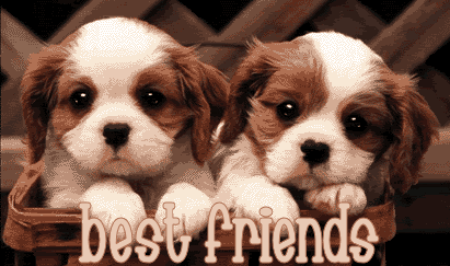 Friendship Graphics @ twitkut.com