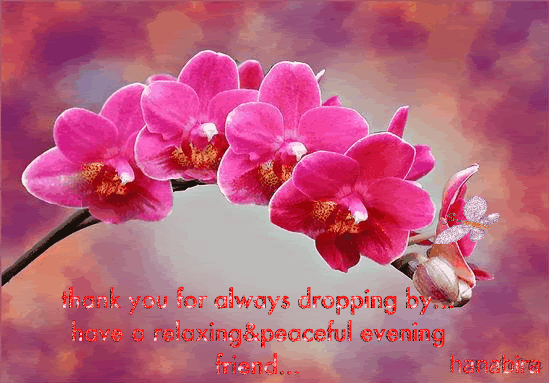 Friendship Graphics @ twitkut.com