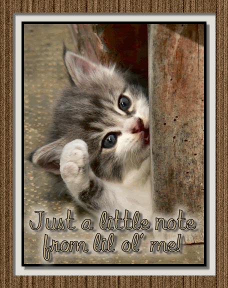 Friendship Graphics @ twitkut.com