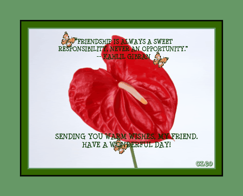 Friendship Graphics @ twitkut.com