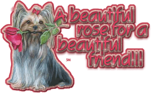 Friendship Graphics @ twitkut.com