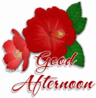 Good Afternoon Graphics @ twitkut.com