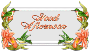 Good Afternoon Graphics @ twitkut.com