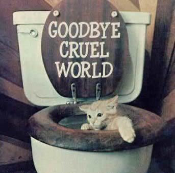 Good Bye Graphics @ twitkut.com