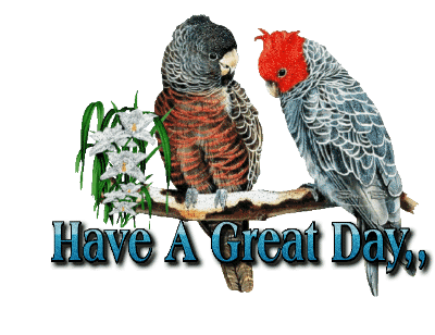Good Day Graphics @ twitkut.com