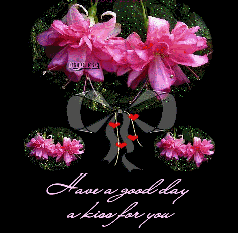 Good Day Graphics @ twitkut.com