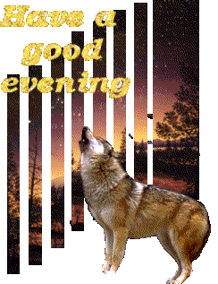 Good Evening Graphics @ twitkut.com