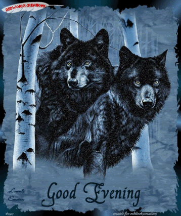 Good Evening Graphics @ twitkut.com